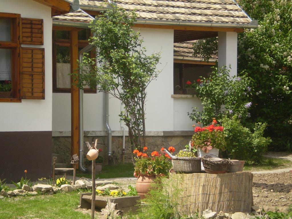 Tulipanos Vendeghaz Apartment Obanya Exterior foto